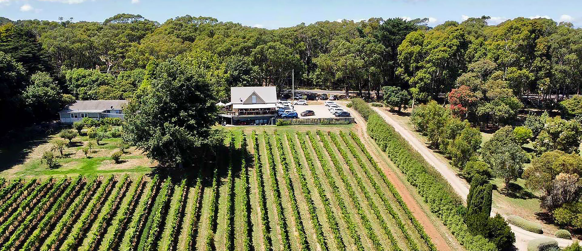 winery tours red hill